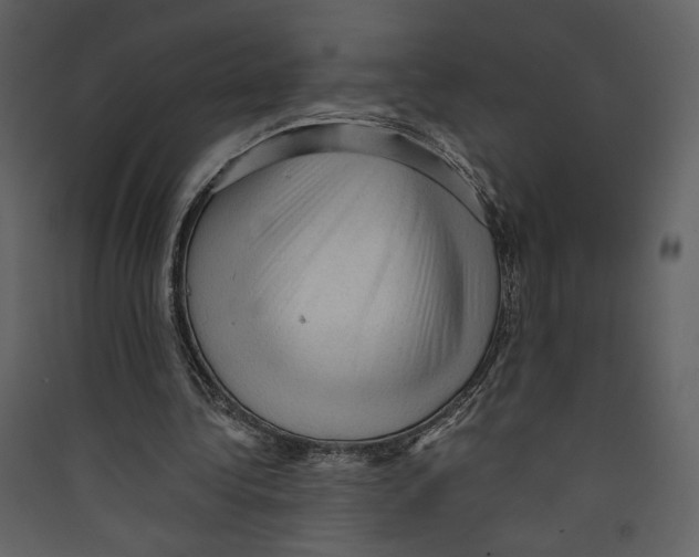 X0000089380340200707131703