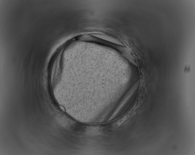 X0000089380342200707131703