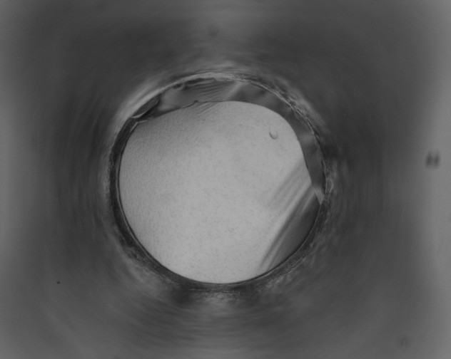 X0000089380344200707131703