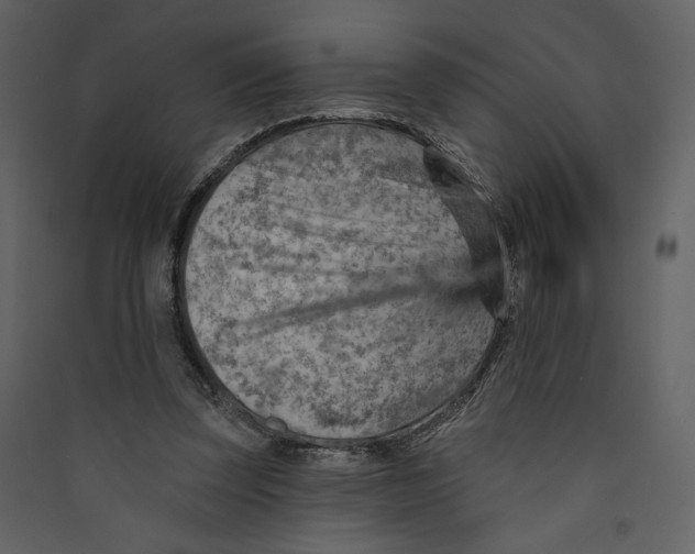 X0000089380347200707131703