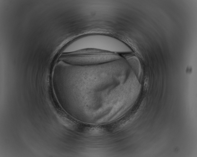 X0000089380348200707131703