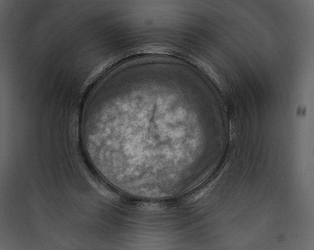 X0000089380349200707131703