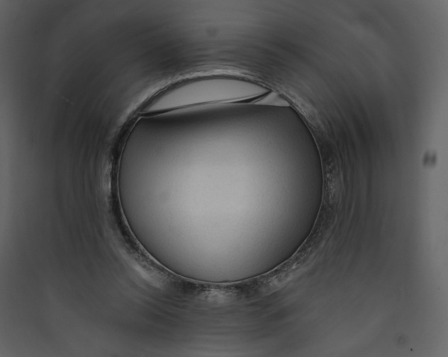 X0000089380350200707131703