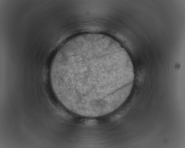 X0000089380355200707131703