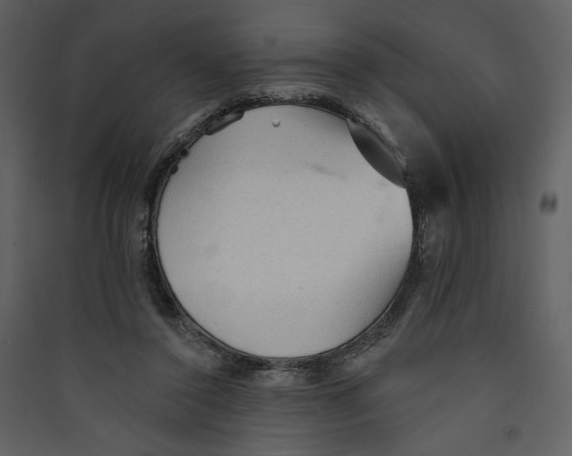 X0000089380356200707131703