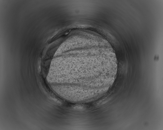 X0000089380358200707131703