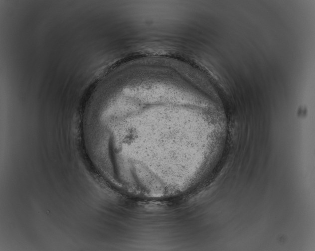 X0000089380359200707131703