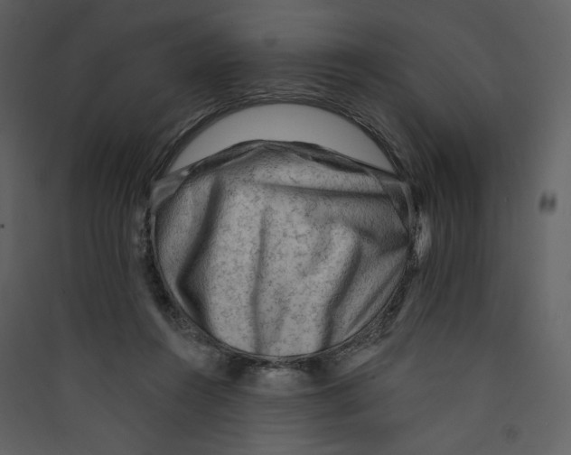 X0000089380360200707131703