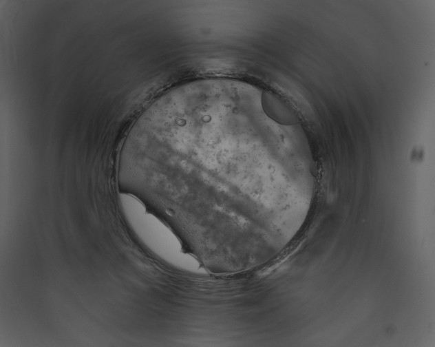 X0000089380361200707131703