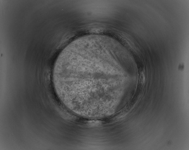 X0000089380363200707131703