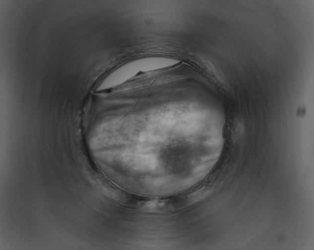 X0000089380366200707131703