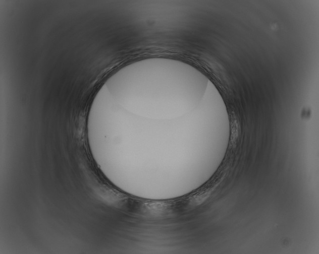 X0000089380367200707131703