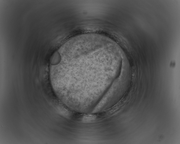 X0000089380369200707131703