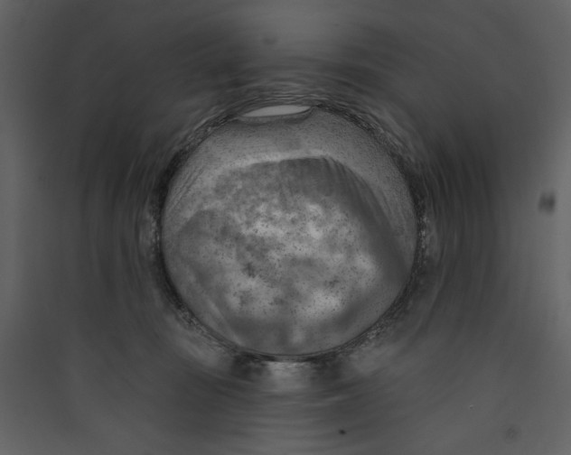 X0000089380371200707131703