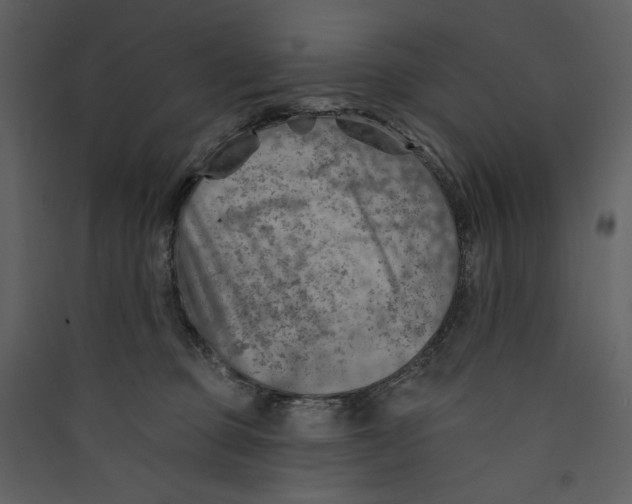 X0000089380373200707131703