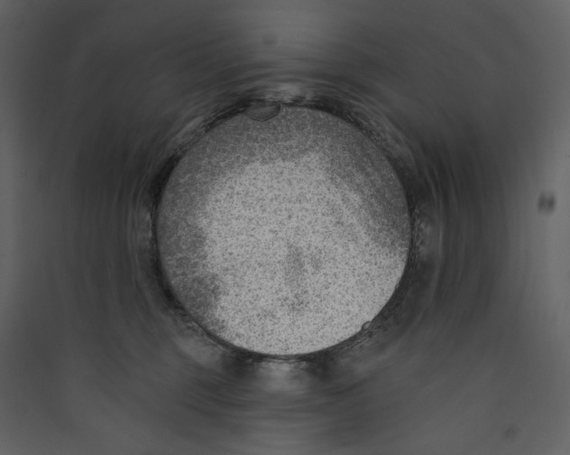 X0000089380375200707131703