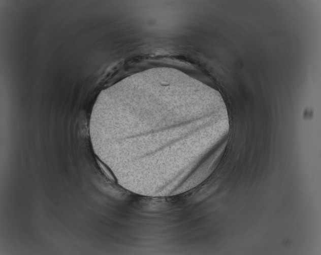 X0000089380384200707131703