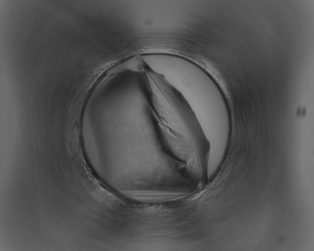 X0000089380385200707131703