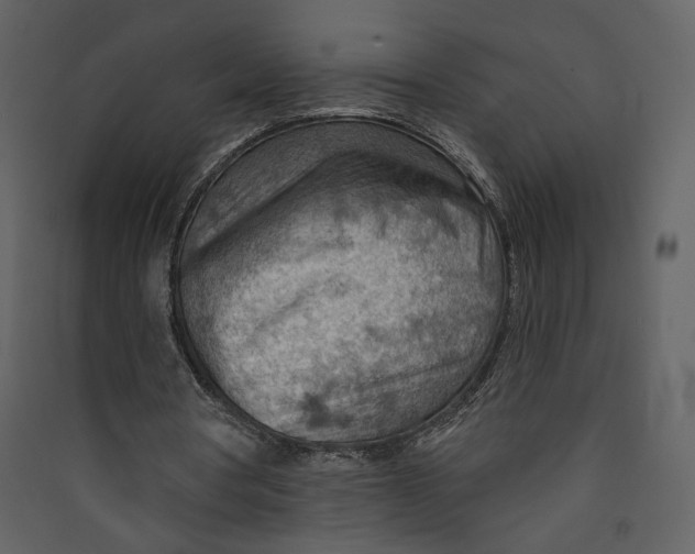 X0000089380386200707131703