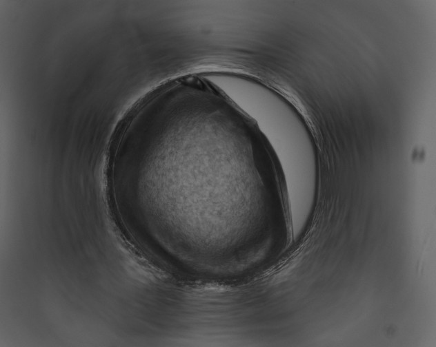 X0000089380387200707131703