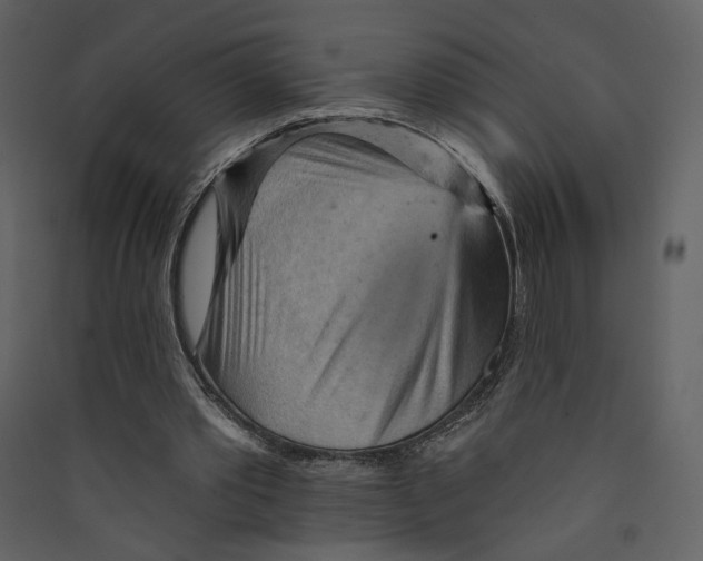 X0000089380389200707131703