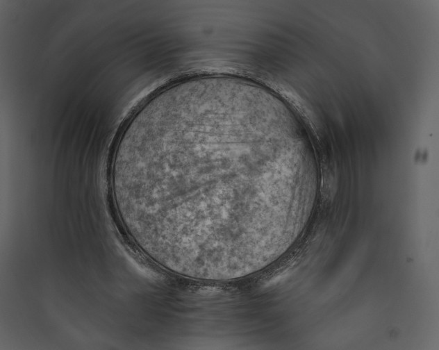 X0000089380390200707131703