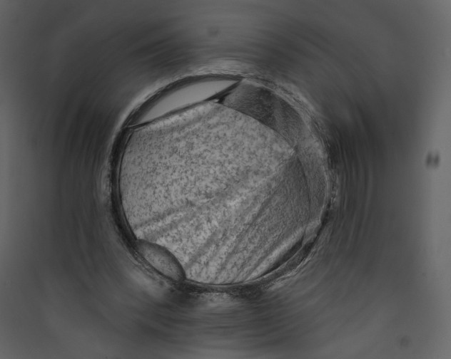 X0000089380392200707131703