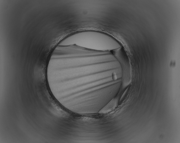 X0000089380393200707131703