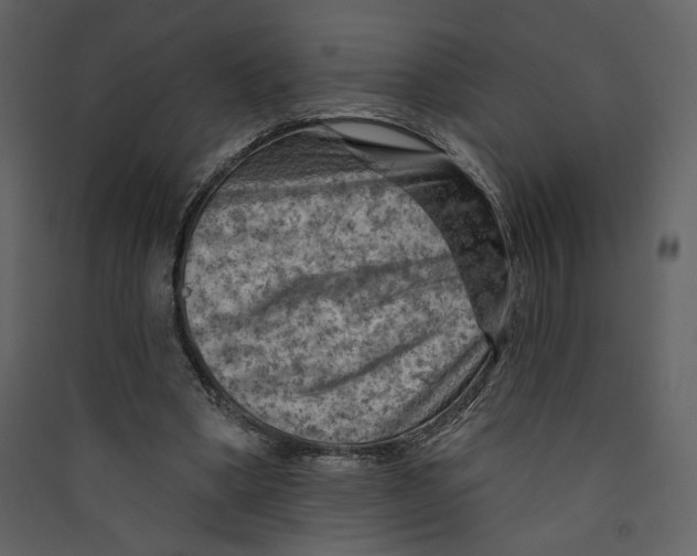 X0000089380394200707131703