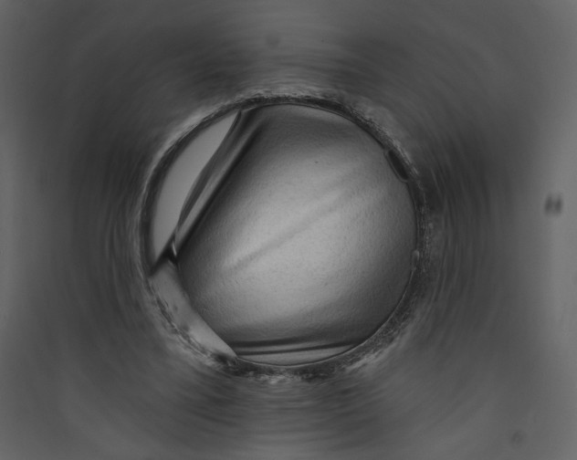 X0000089380395200707131703