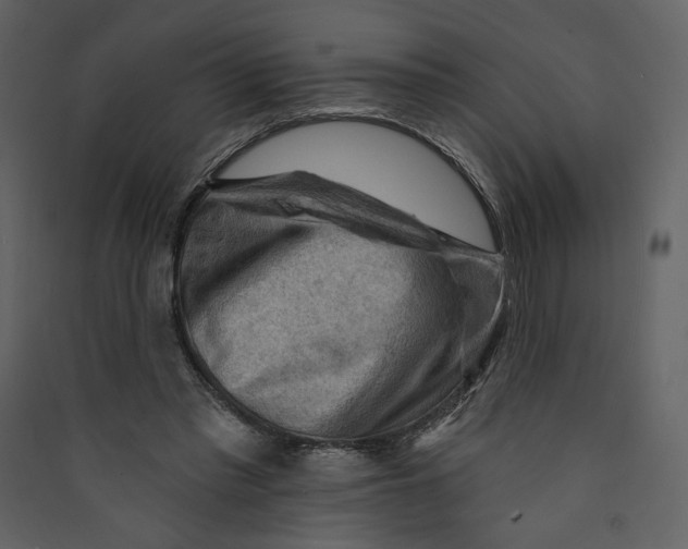 X0000089380397200707131703