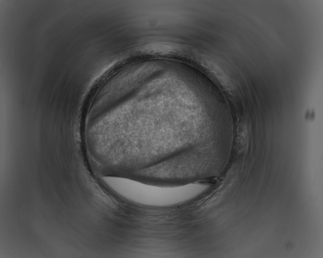 X0000089380399200707131702