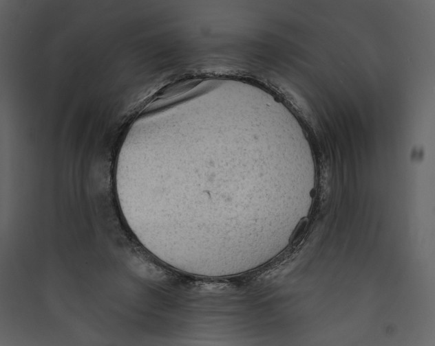 X0000089380401200707131702