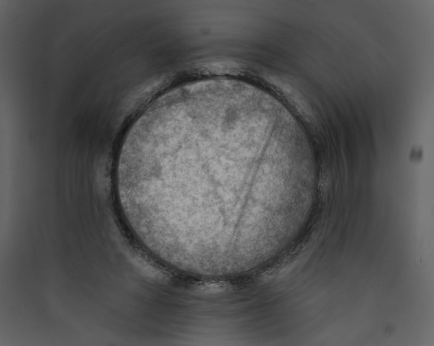 X0000089380402200707131702