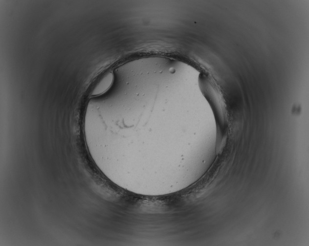 X0000089380403200707131702