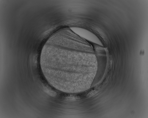 X0000089380404200707131702