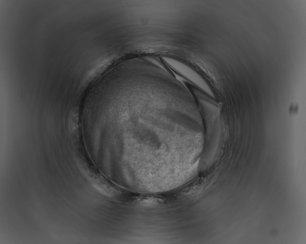 X0000089380407200707131702