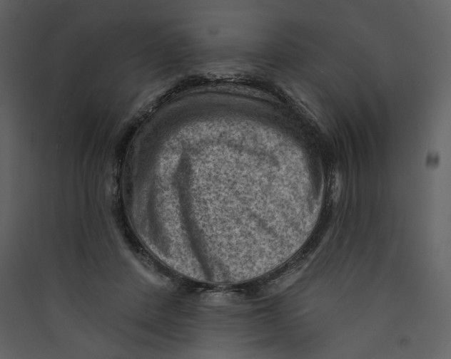 X0000089380408200707131702