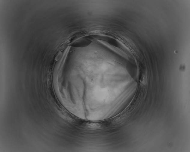 X0000089380409200707131702