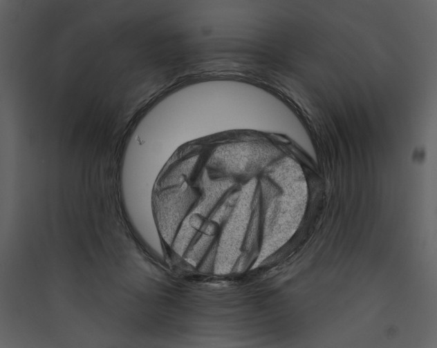 X0000089380411200707131702