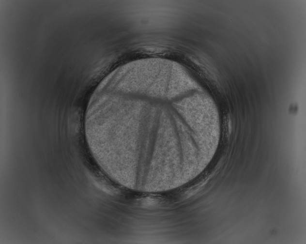 X0000089380412200707131702