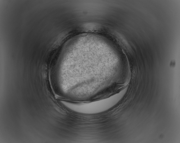 X0000089380413200707131702