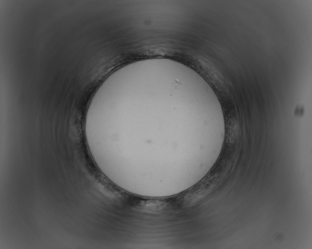 X0000089380414200707131702