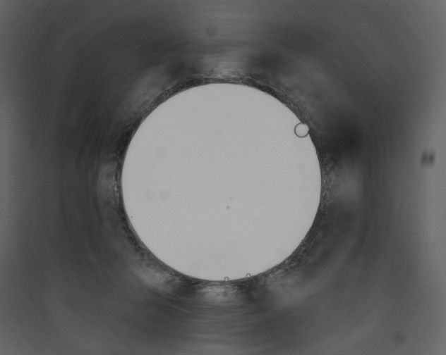 X0000089380415200707131702