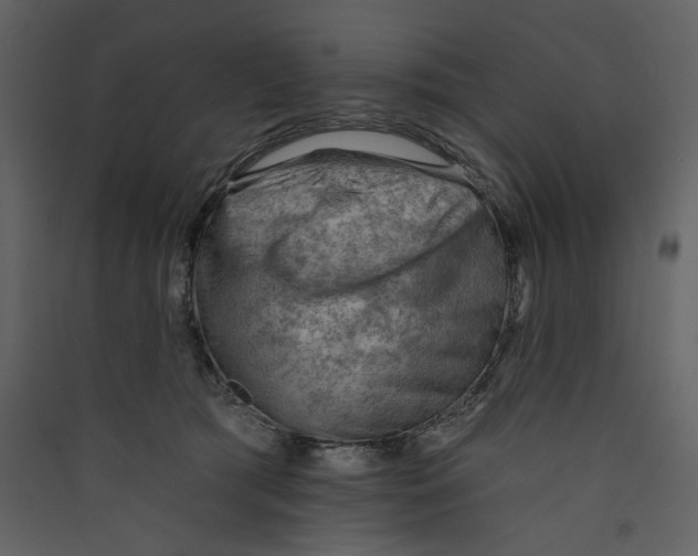 X0000089380417200707131702