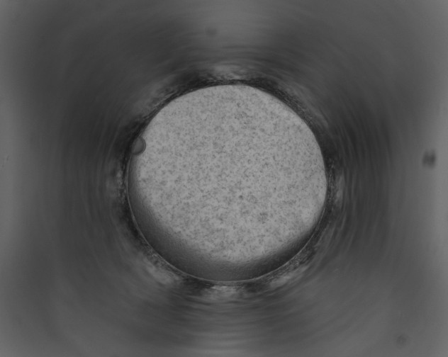 X0000089380418200707131702