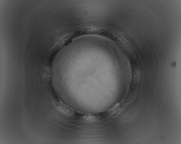 X0000089380419200707131702