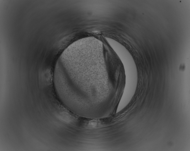 X0000089380420200707131702