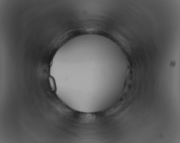 X0000089380421200707131702