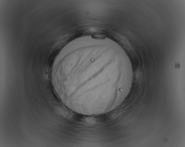 X0000089380423200707131702